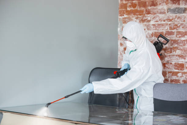 Why You Should Choose Our Mold Remediation Services in South St Paul, MN